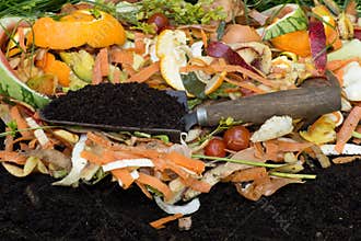 Compost with composted soil