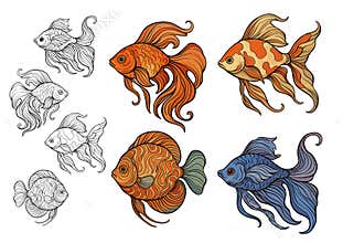 Set of ornamental aquarium fish