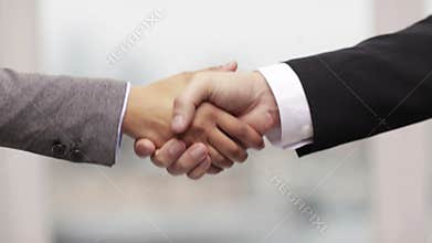 Businessman and businesswoman shaking hands