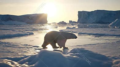 Dynamic natural light phenomena like golden hour sunrises or sunsets casting ethereal glows over frozen terrain, enhancing the