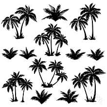 Tropical palm trees set silhouettes