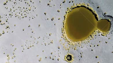 Aerial view of Ojos de Campo in the Antofalla salt flat, Catamarca