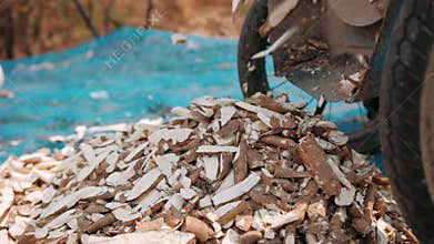Agricultural machine cutting fresh cassava roots. The chopped tapioca falls to dry. Cambodia