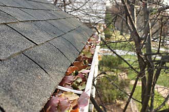 Fall Cleanup - Leaves in Gutter #1