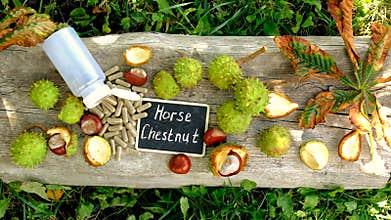 Horse chestnut tincture and supplements. Selective focus.