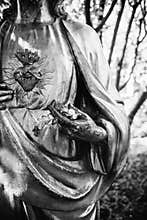 Jesus holding olive branch