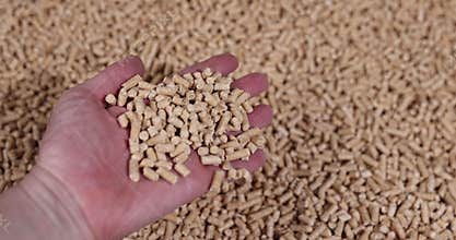 a large number of cylindrical fuel pellets made from sawdust of