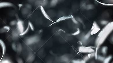 Explosion Of Feathers in 4K