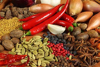 Spices and herbs