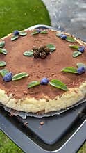 Orange cheesecake decorated with candied violets