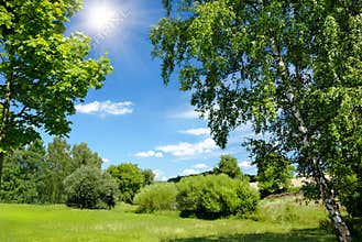 Beautiful sunny summer landscape