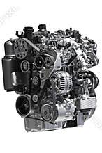 Diesel Engine