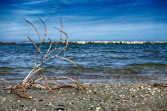 Blue seascape and blue sky