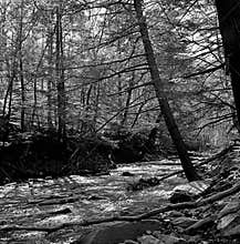Big Hunting Creek in Maryland