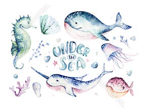 Set of sea animals. Blue watercolor ocean fish, turtle, whale and coral. Shell aquarium background. Nautical marine hand
