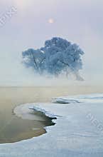 Winter landscape