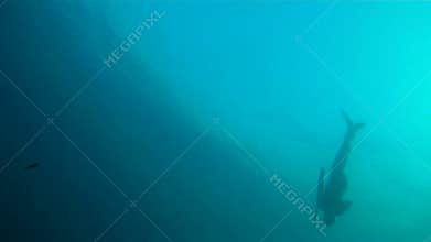 Spearfishing in the mediterranean sea.