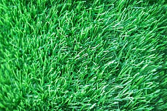 Grass green texture nature seamless patterns background