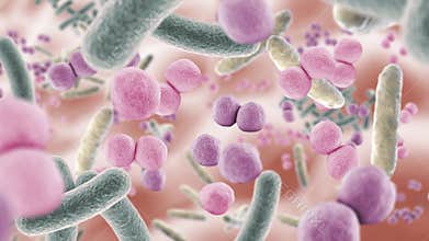 Animation floating through good microbes in the intestine, healthy microbiome