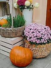 Halloween street decor. Pumpkins and autumn flowers in baskets on wooden boxes, rustic modern decor of city street in fall. Happy
