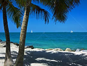 Sailboats off Key West