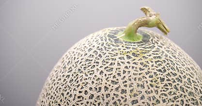 Whole of Japanese melon rotate, Close-up of orange melon or cantaloupe melon on gray background