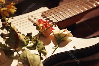 Dried roses on electric guitar closeup. Selective focus