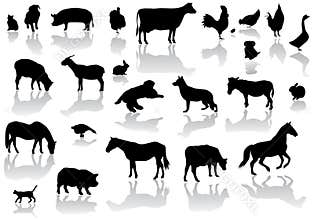 Farm animals