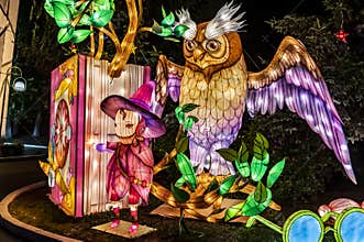 Night view of the 4th Summer Lantern Festival in Changchun, China