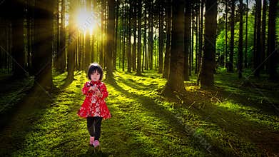 Little girl exploring summer forest