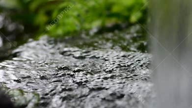 Beautiful and clear waterfalls Among the leaves and green forests and natural