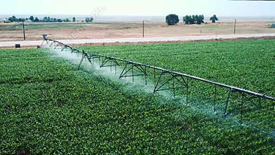 Industrial Grade Field Sprinkler in Operation