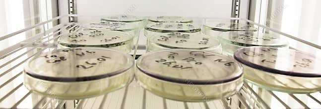 Microbiology science