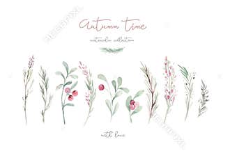 Watercolor illustration with mashrooms, branches, leaves and berries. Set of autumn forest plants. Collection of
