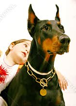 Lovely dog