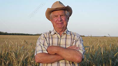 Portrait Old Man In Hat With His Arms Crossed In Front Of Him In Wheat Field