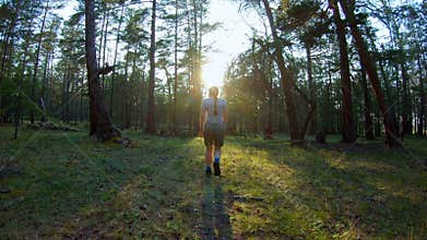 Girl walking in the coniferous forest