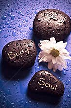 Spirit and body wellness