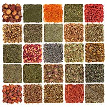 Dried Herb, Spice, Fruit and Flora