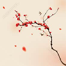 Oriental style painting, plum blossom in spring