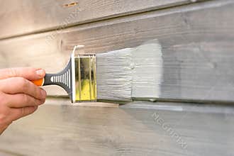 Woman worker painting wooden house exterior wall with paintbrush and wood protective color