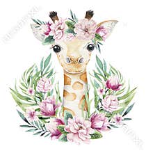 A poster with a baby giraffe. Watercolor cartoon giraffetropical animal illustration. Jungle exotic summer print.