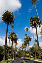 Beverly Hills