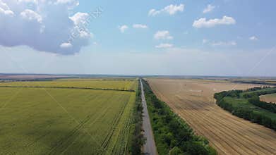 Landscape of sunflower, wheat fields and road