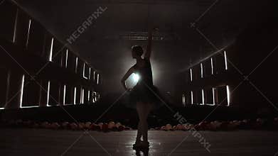 Silhouette of young ballet dancer standing back to camera. Light silhouette of elegant young ballerina standing back to