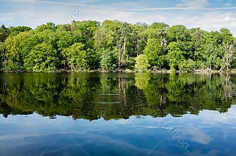 Woodland, Lake Reflections and Ripples in Shropshire, UK