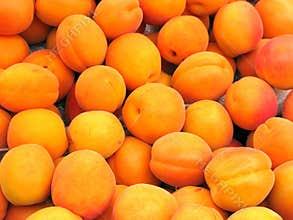 Ripe apricot fruit