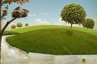 Nice Landscape