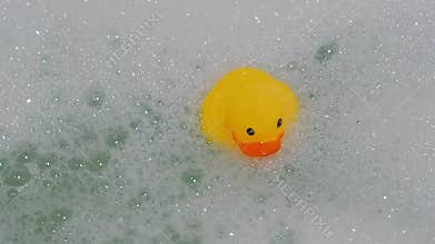Rubber yellow duck toy floats in water in bath with foam