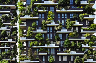 Vertical forest. Bosco verticale Contemporary architecture in Milan, Italy